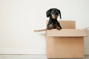 packing your home