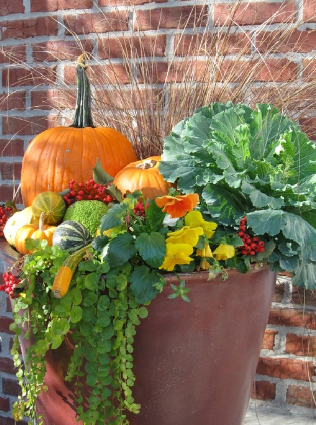 pumpkins in outdoor planter